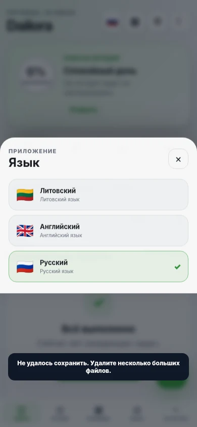 Russian interface